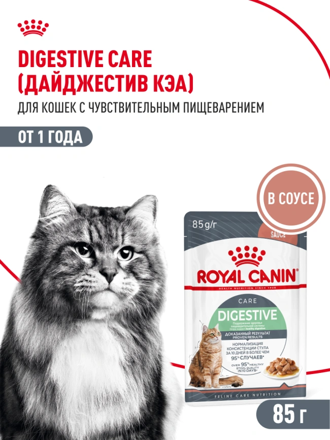 Влажный корм Royal Canin Digest Sensitive в соусе для улучшения пищеварения у взрослых кошек старше 1 года, пауч, 85 г фото 14