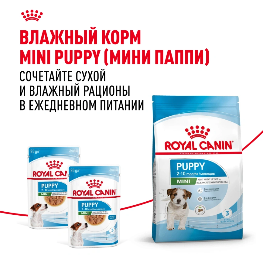 Сухой корм Royal Canin Mini Puppy для щенков, 4 кг фото 8