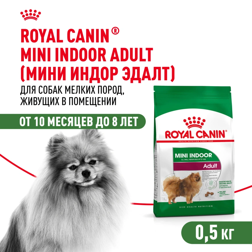 Сухой корм Royal Canin Mini Indoor Adult для собак, 500 г фото 1