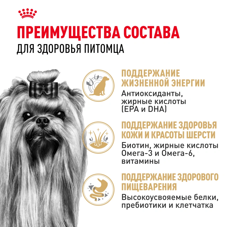 Сухой корм Royal Canin Yorkshire Terrier Adult 8+ для собак породы йоркширский терьер, 500 г фото 4