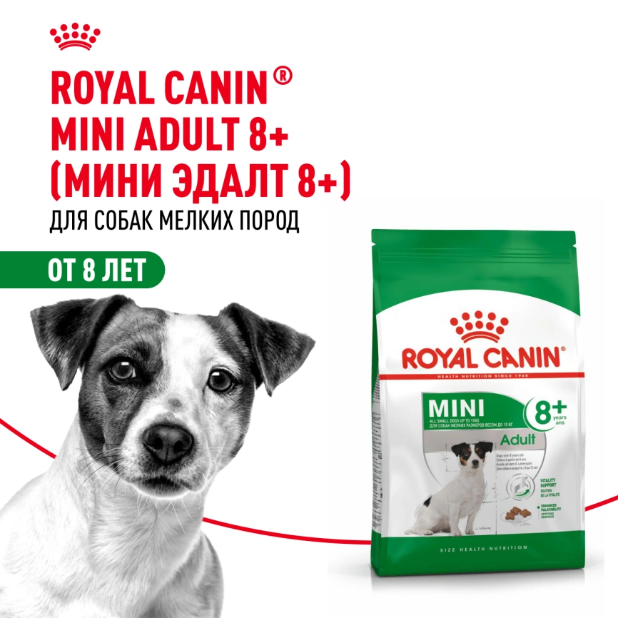 Сухой корм Royal Canin Mini Adult 8+ для пожилых собак, 2 кг фото 12