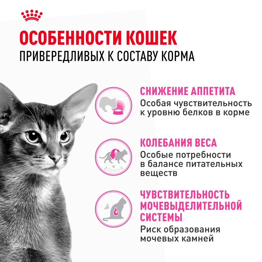 Сухой корм Royal Canin Protein Exigent для кошек фото 2
