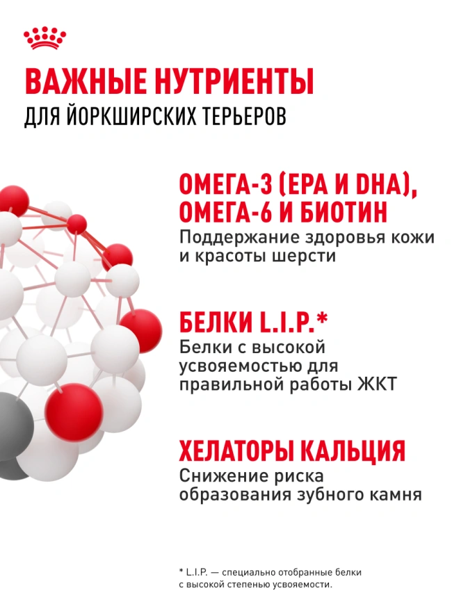 Сухой корм Royal Canin Yorkshire Terrier Adult для взрослых собак, 500 г фото 20