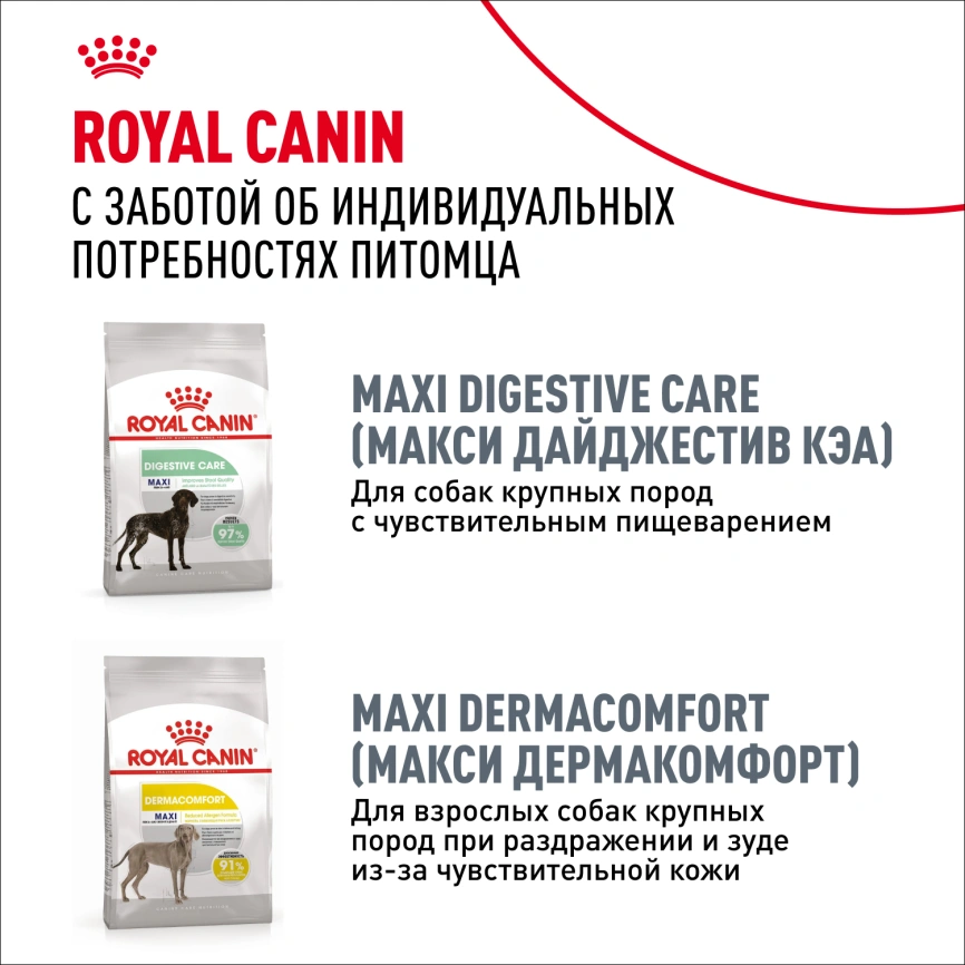 Сухой корм Royal Canin Maxi Joint Care для собак, 10 кг фото 9