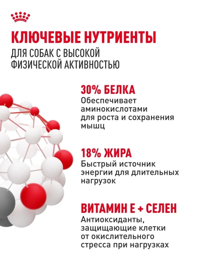 Сухой корм Royal Canin Club Energy HE, для активных собак, 20 кг фото 4