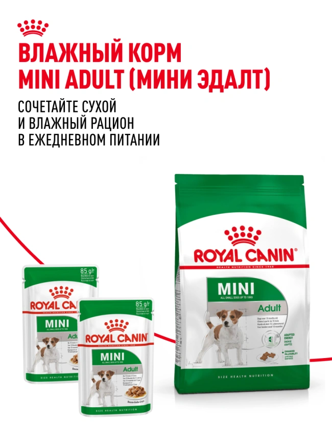 Сухой корм Royal Canin Mini Adult для взрослых собак, 4 кг фото 22