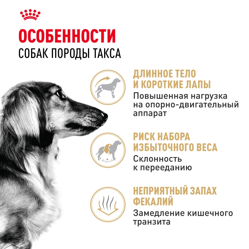 Сухой корм Royal Canin Dachshund Adult для собак породы такса, 1.5 кг фото 2