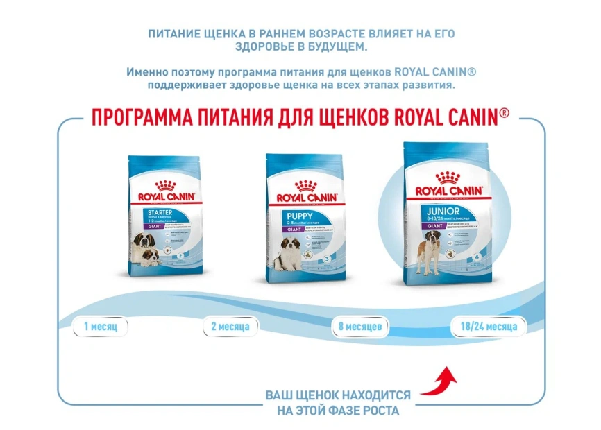 Сухой корм Royal Canin Giant Junior для щенков, 15 кг фото 16