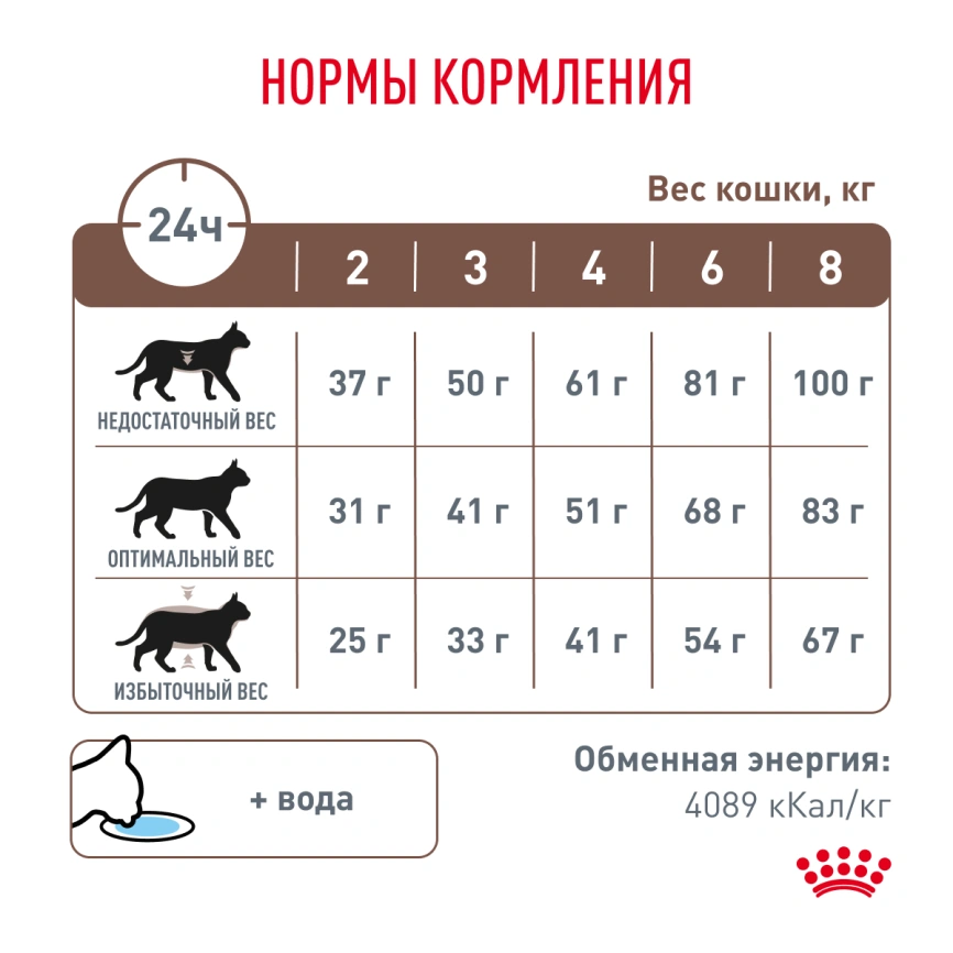Сухой корм Royal Canin Gastrointestinal для кошек, 350 г фото 6