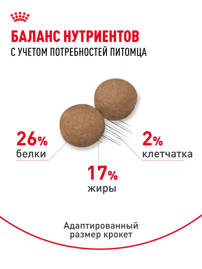 Сухой корм Royal Canin Maxi Adult для собак, 3 кг фото 16