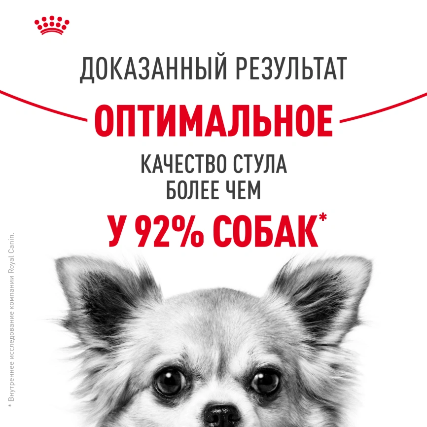 Сухой корм Royal Canin Mini Digestive Care для собак, 1 кг фото 11
