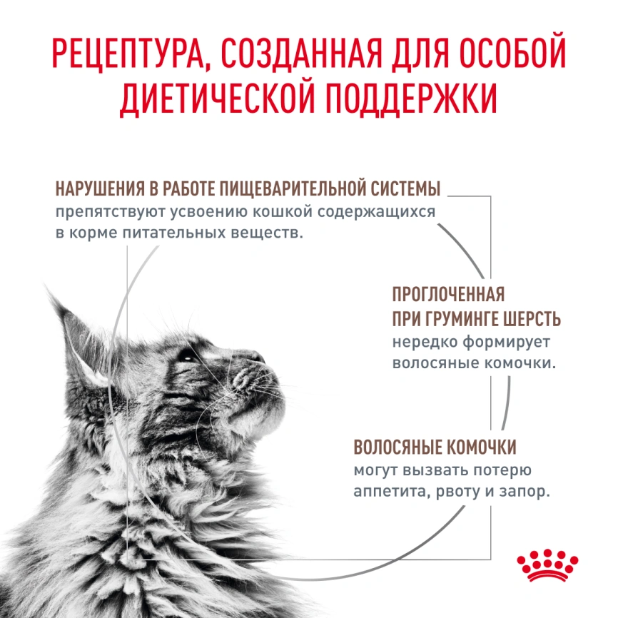 Сухой корм Royal Canin Gastrointestinal Hairball для кошек, 2 кг фото 6
