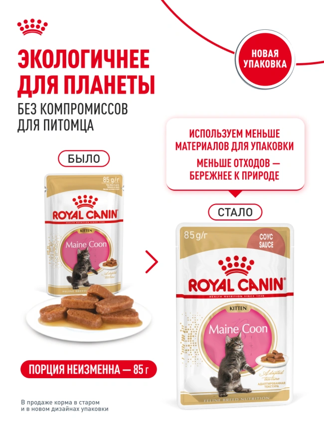 Влажный корм Royal Canin Maine Coon Kitten в соусе для котят породы мейн-кун и других крупных пород старше 3 месяцев, пауч, 85 г фото 25