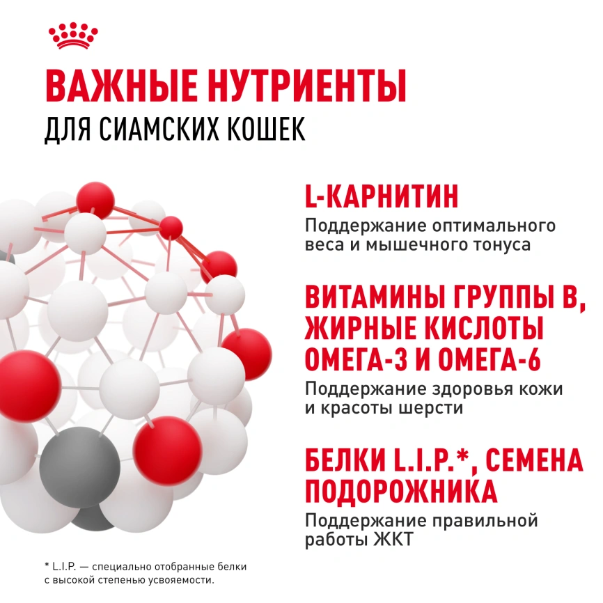 Сухой корм Royal Canin Siamese для кошек сиамской породы, 2 кг фото 5