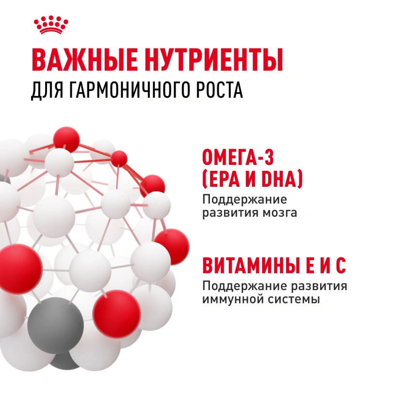 Влажный корм Royal Canin Kitten в желе для котят до 12 месяцев, пауч, 85 г фото 5