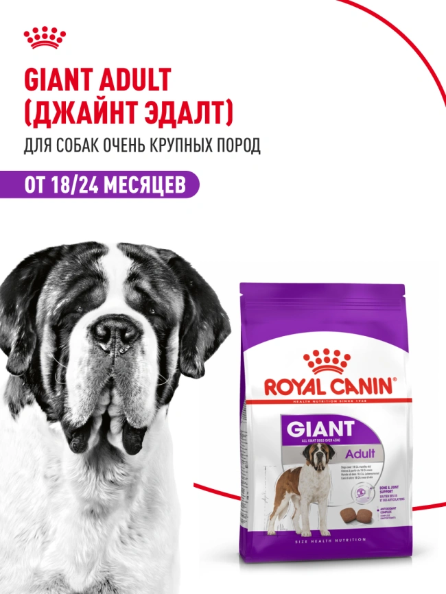 Сухой корм Royal Canin Giant Adult для собак, 4 кг фото 12