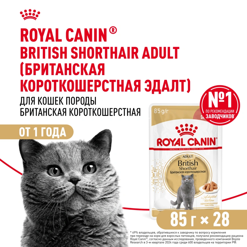 Влажный корм Royal Canin British Shorthair в соусе для кошек породы британская короткошерстная и шотландская вислоухая старше 1 года, пауч, 85 г фото 13