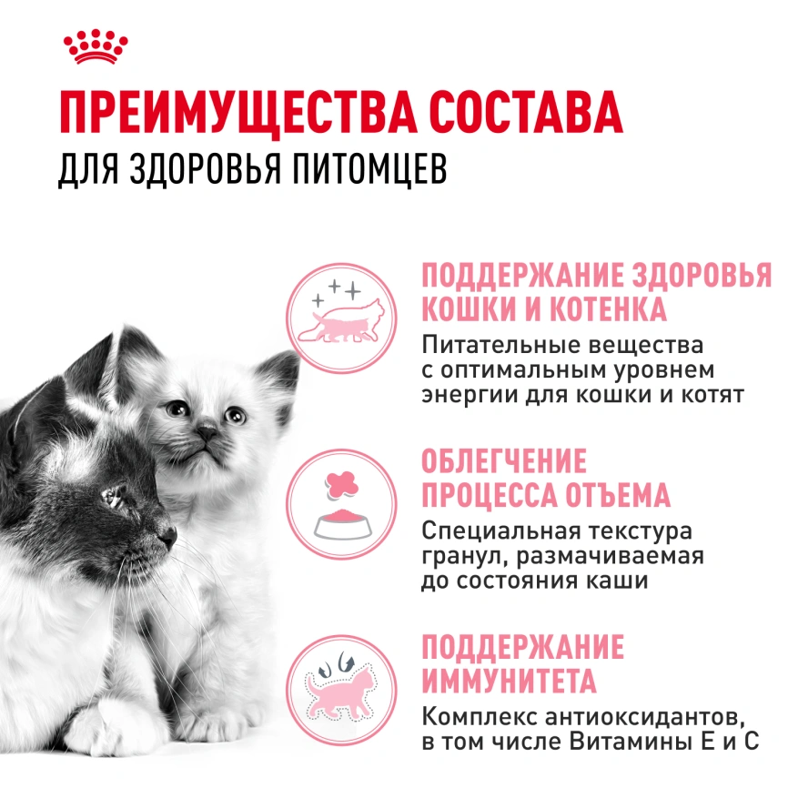 Сухой корм Royal Canin Mother & Babycat для котят, беременных и лактирующих кошек, 2 кг фото 3