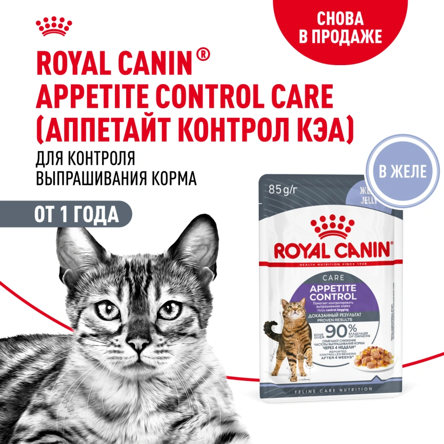 Влажный корм Royal Canin Appetite Control Care в желе для взрослых кошек, для контроля выпрашивания корма, пауч, 85 г фото 13