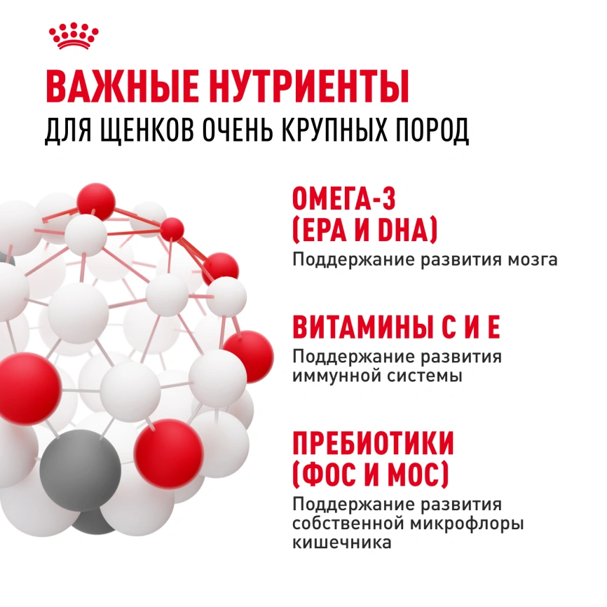 Сухой корм Royal Canin Giant Puppy для щенков, 3.5 кг фото 5