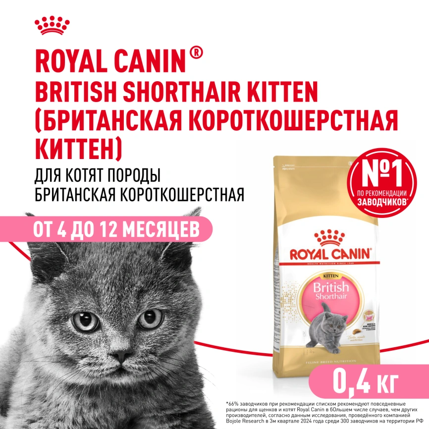 Сухой корм Royal Canin Kitten British Shorthair для котят, 400 г фото 1