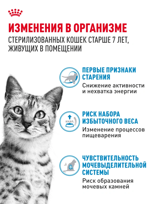 Влажный корм Royal Canin Indoor 7+ в соусе для кошек старше 7 лет, живущих в помещении, пауч, 85 г фото 3