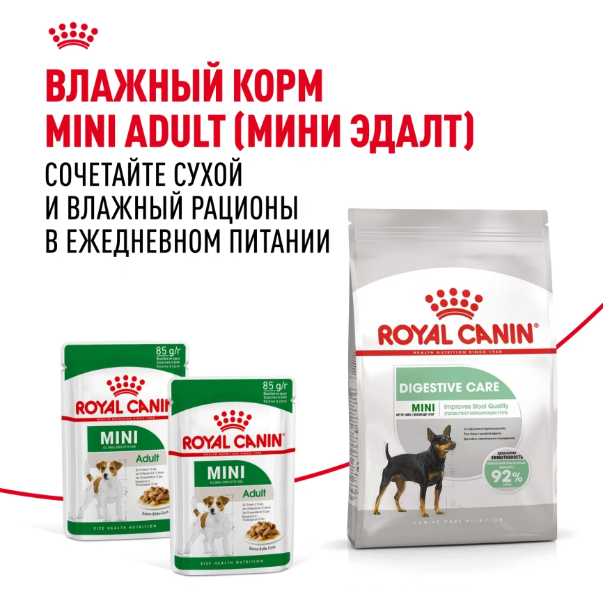 Сухой корм Royal Canin Mini Digestive Care для собак, 3 кг фото 8