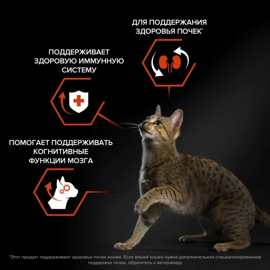 Сухой корм Purina Pro Plan Cat Adult Vital Functions для взрослых кошек, с лососем, 3 кг фото 3