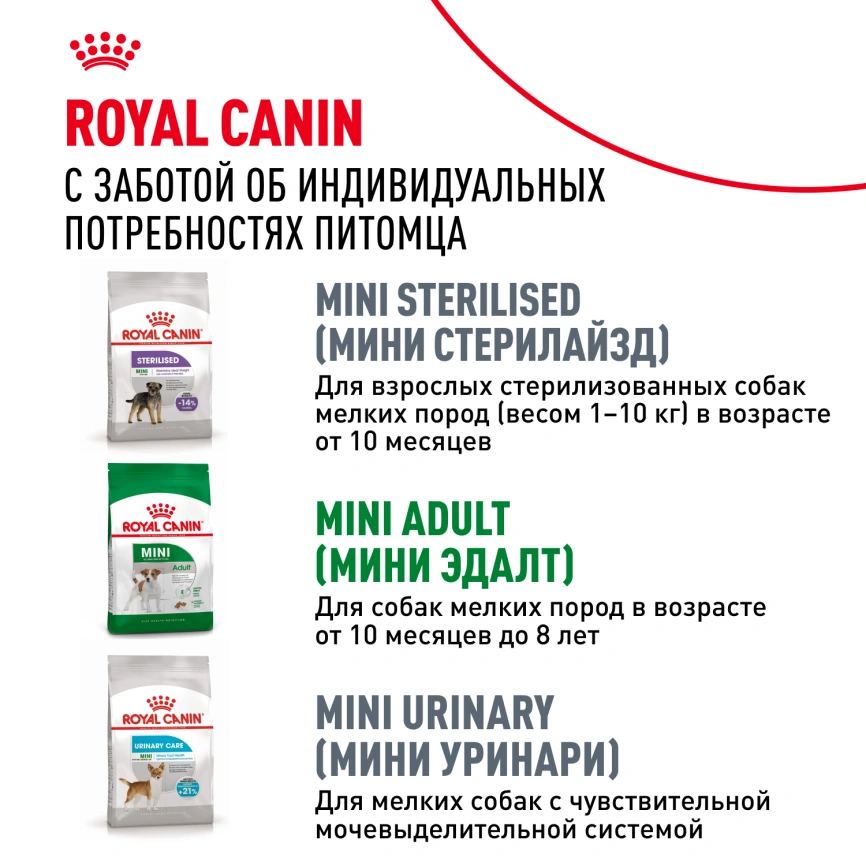 Сухой корм Royal Canin Mini Adult 8+ для пожилых собак, 4 кг фото 8