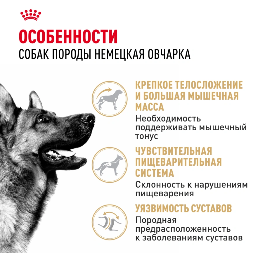 Сухой корм Royal Canin German Shepherd Adult для собак, 3 кг фото 2