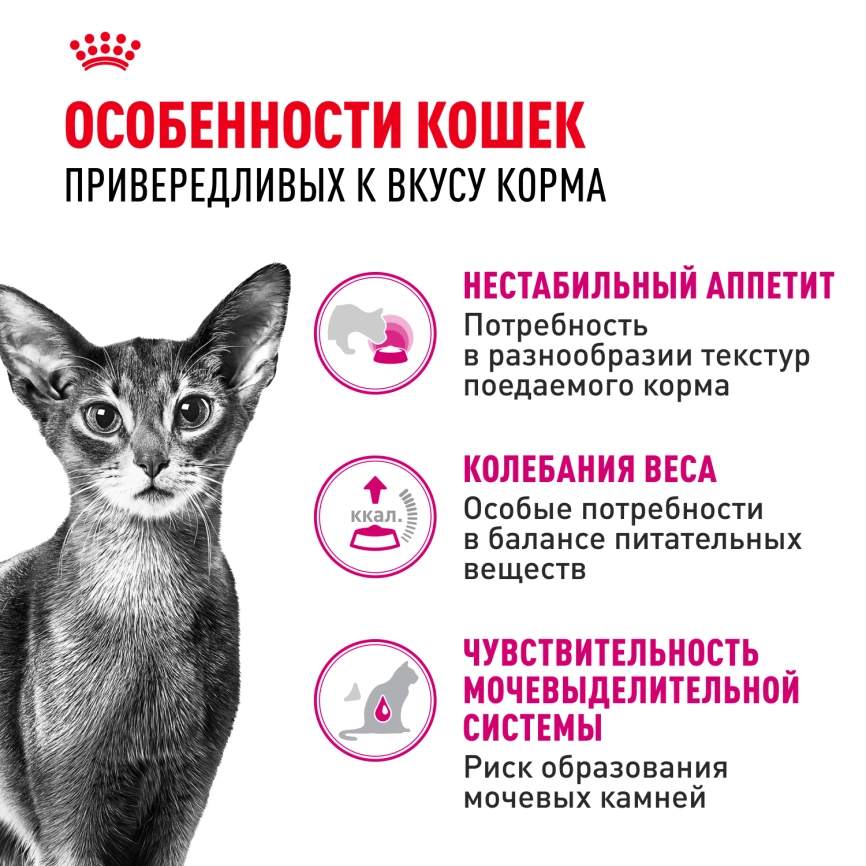 Сухой корм Royal Canin Savour Exigent для кошек, 4 кг фото 2