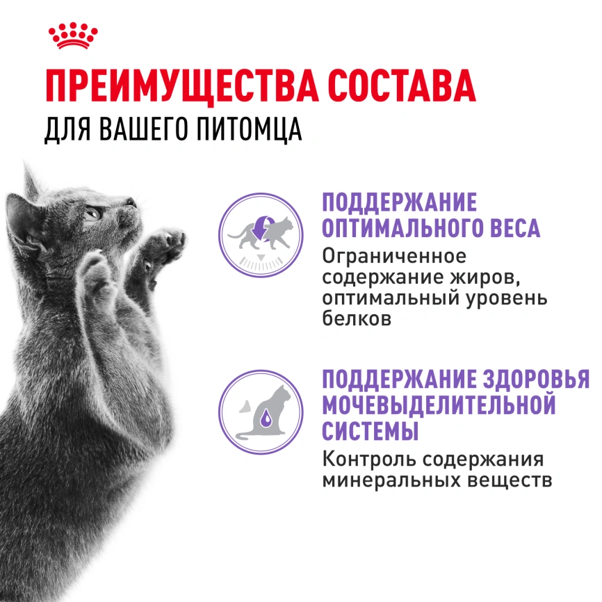 Влажный корм Royal Canin Sterilised в соусе для стерилизованных кошек старше 1 года, пауч, 85 г фото 10