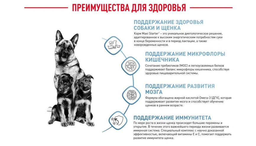 Сухой корм Royal Canin Maxi Starter Mother & Babydog для собак, 15 кг фото 6