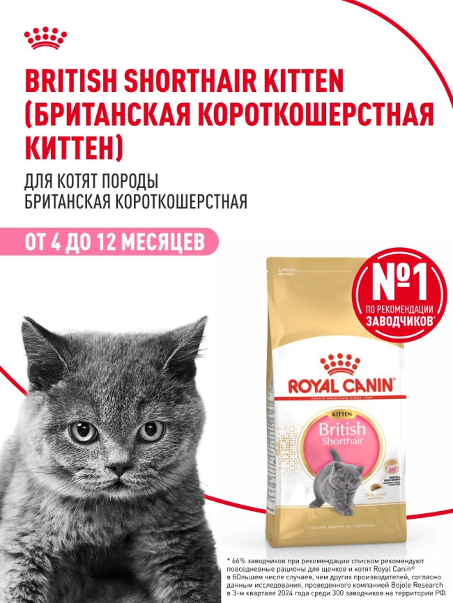 Сухой корм Royal Canin Kitten British Shorthair для котят, 400 г фото 14