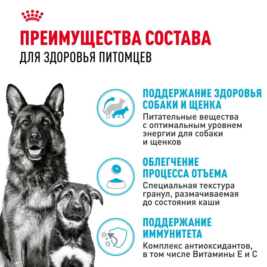 Сухой корм Royal Canin Maxi Starter Mother & Babydog для собак, 15 кг фото 10