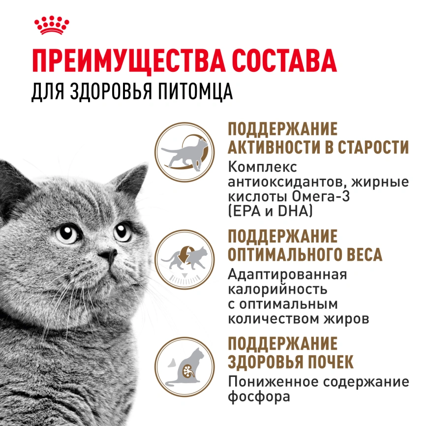 Сухой корм Royal Canin Ageing Sterilised 12+ для стерилизованных кошек старше 12 лет, 2 кг фото 3