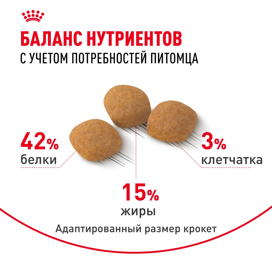 Сухой корм Royal Canin Protein Exigent для кошек фото 4