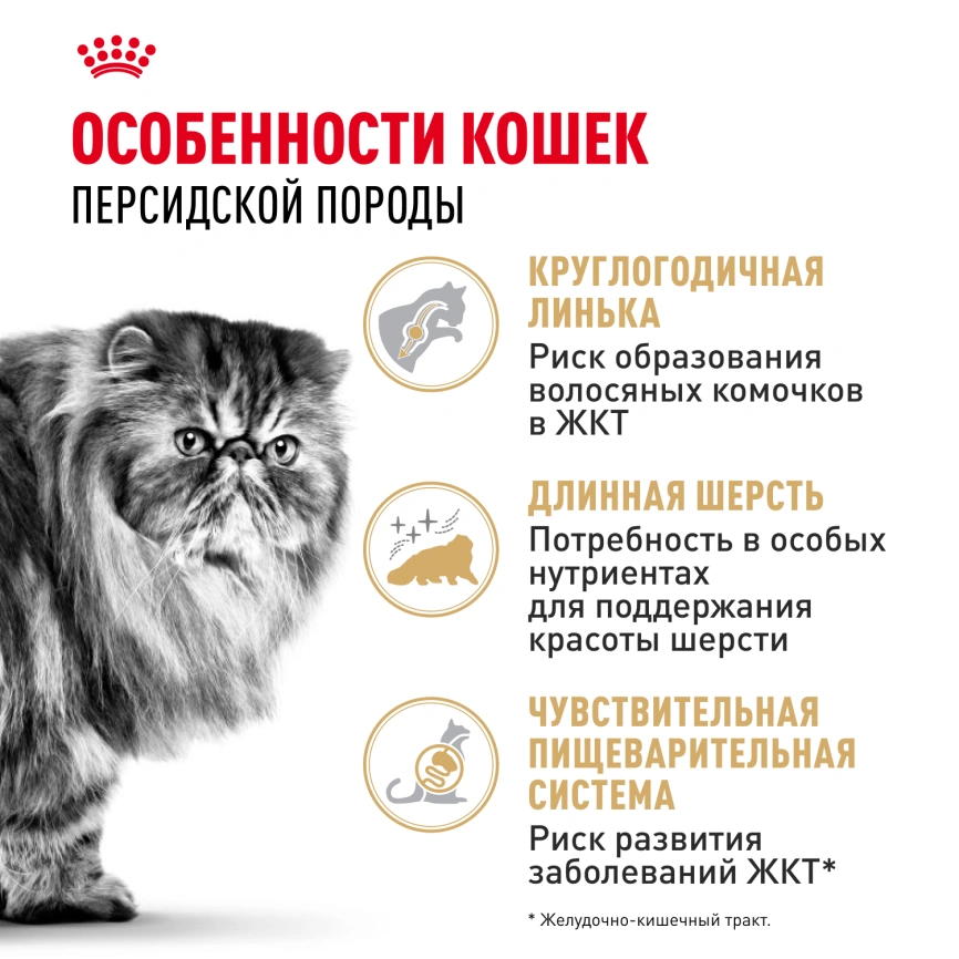 Сухой корм Royal Canin Persian для кошек персидской породы, 400 г фото 2