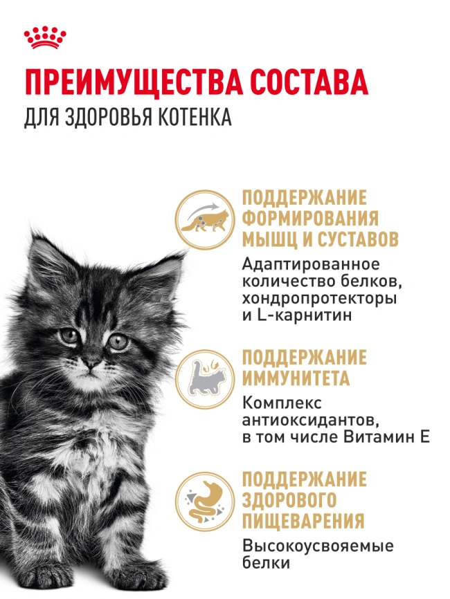 Влажный корм Royal Canin Maine Coon Kitten в соусе для котят породы мейн-кун и других крупных пород старше 3 месяцев, пауч, 85 г фото 17