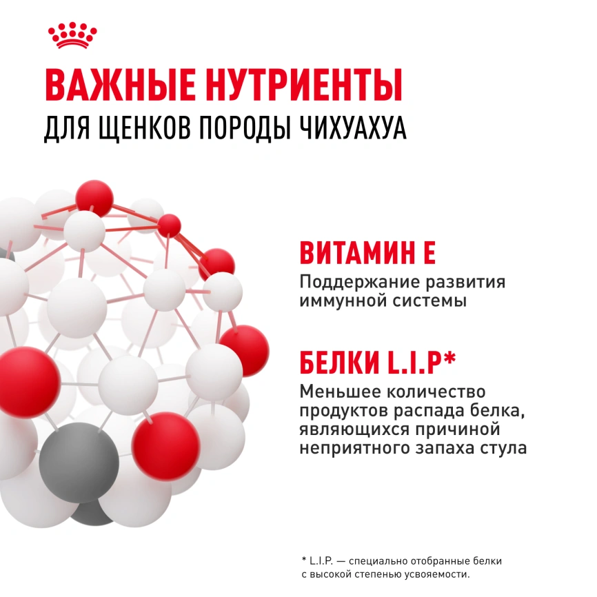 Сухой корм Royal Canin Chihuahua Puppy для щенков породы чихуахуа, 500 г фото 4