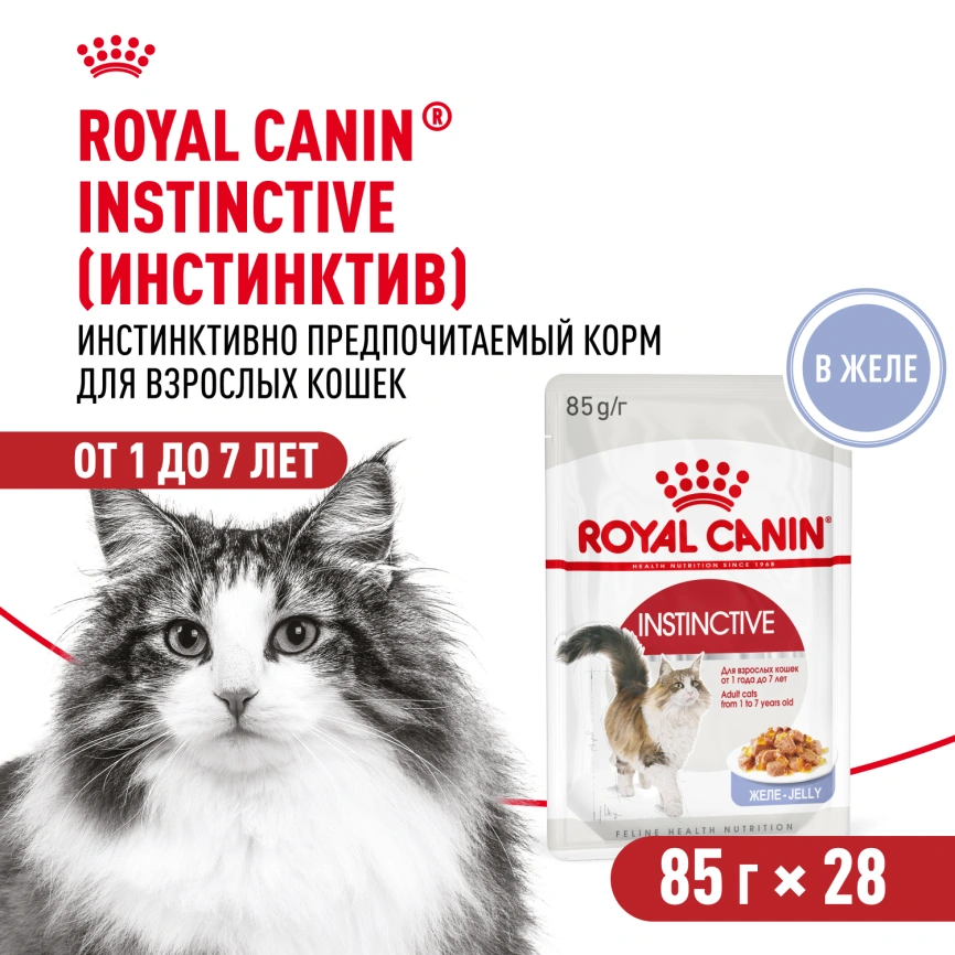 Влажный корм Royal Canin Instinctive в желе для взрослых кошек старше 1 года, пауч, 85 г фото 13