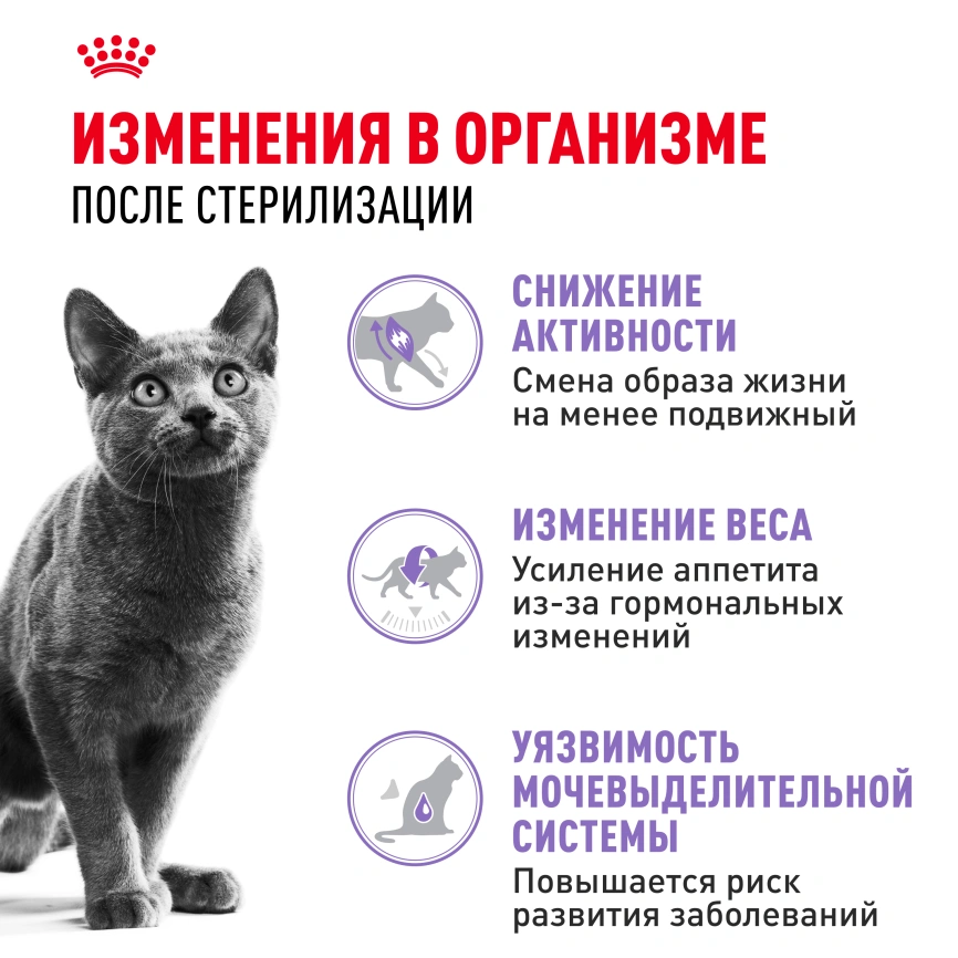 Сухой корм Royal Canin Sterilised для кастрированных котов и стерилизованных кошек, 2 кг фото 2