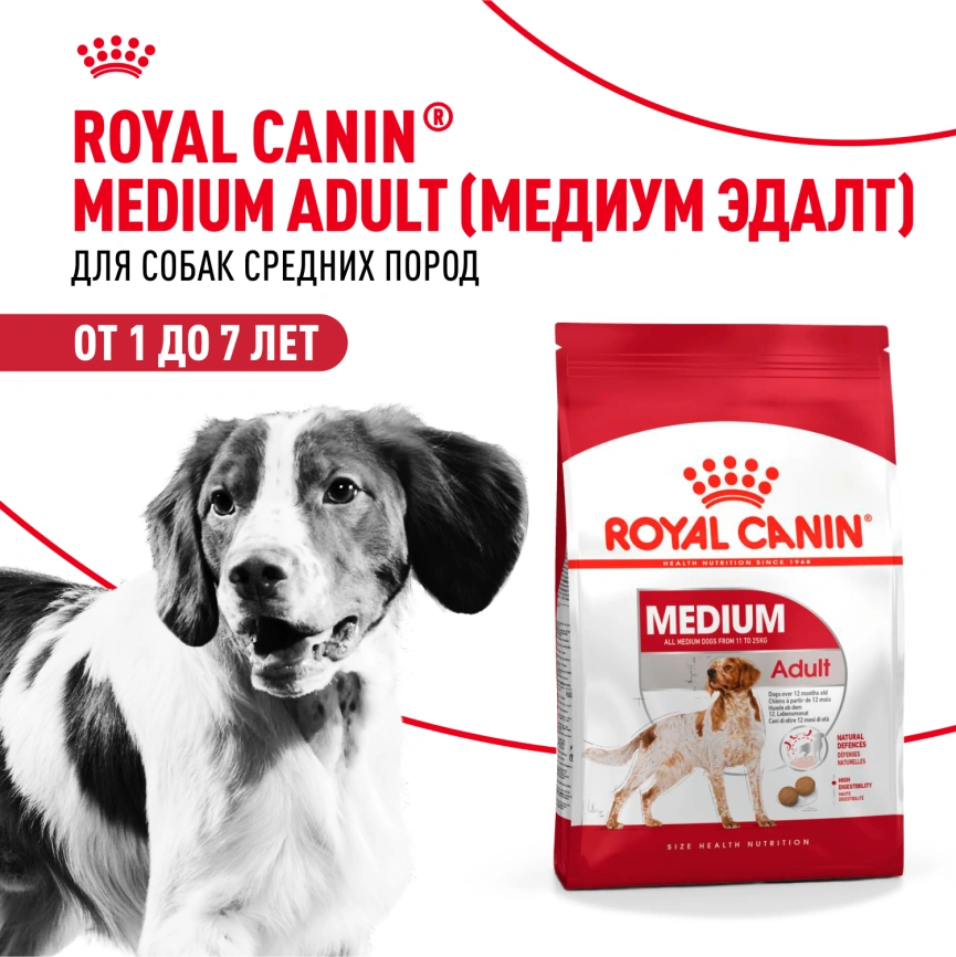 Сухой корм Royal Canin Medium Adult для собак, 3 кг фото 12
