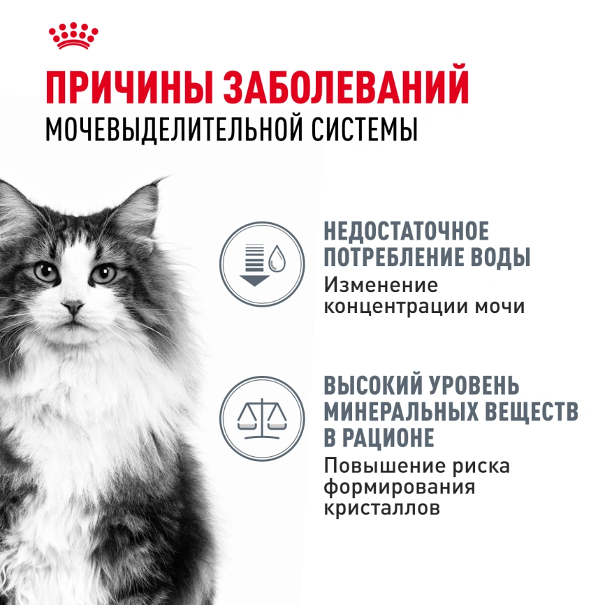 Влажный корм Royal Canin Urinary Care в соусе для кошек для поддержания здоровья мочевыделительной системы, пауч, 85 г фото 2