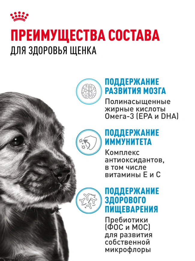 Сухой корм Royal Canin Mini Puppy для щенков, 4 кг фото 19