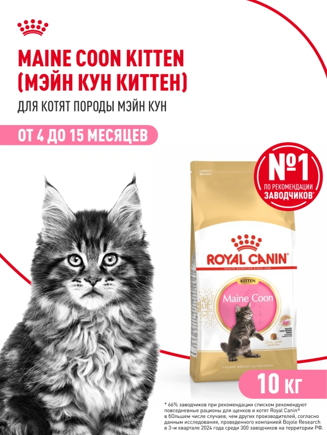 Сухой корм Royal Canin Kitten Maine Coon для котят, 10 кг фото 15