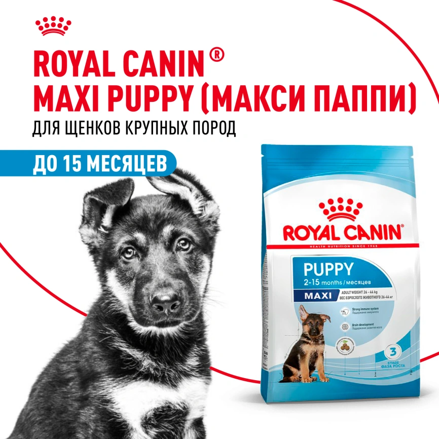 Сухой корм Royal Canin Maxi Puppy для щенков, 15 кг фото 11
