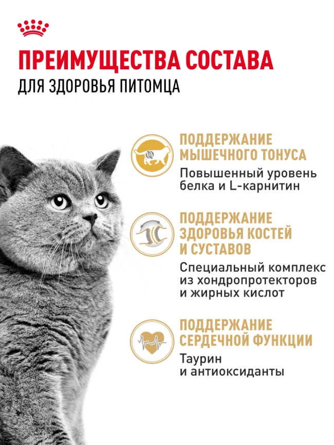 Сухой корм Royal Canin British Shorthair для кошек породы британская короткошерстная, 2 кг фото 29