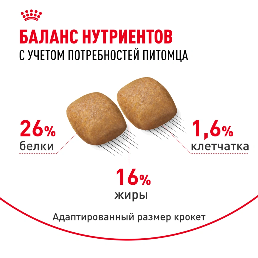Сухой корм Royal Canin Pomeranian Adult для собак породы померанский шпиц, 1.5 кг фото 5