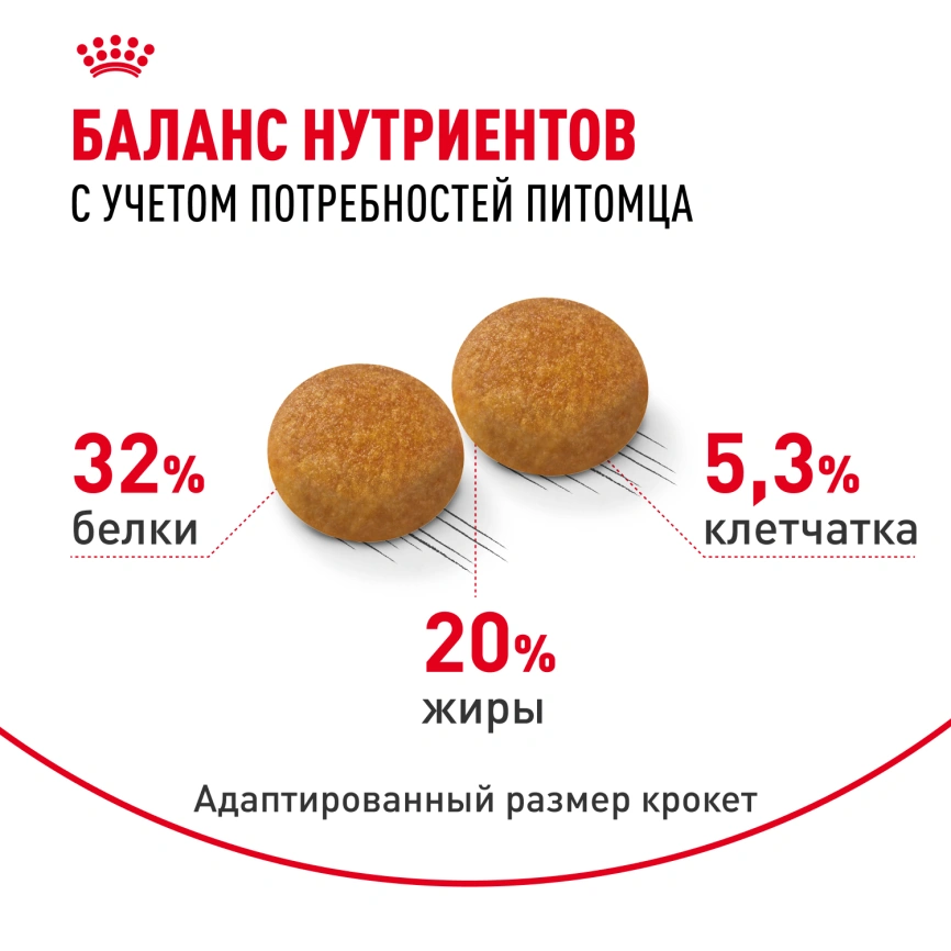 Сухой корм Royal Canin Siberian для кошек, 2 кг фото 4